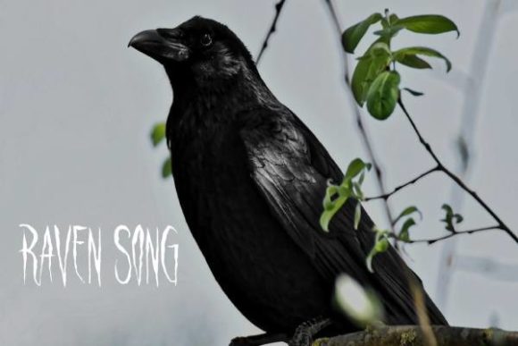 Raven Song: A Designer’s Review for Real Projects